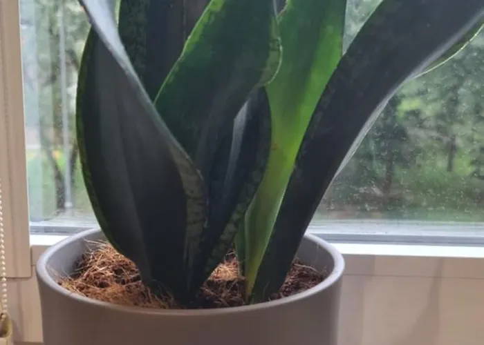 Goclaw Getaway Near National Stadium ワルシャワ