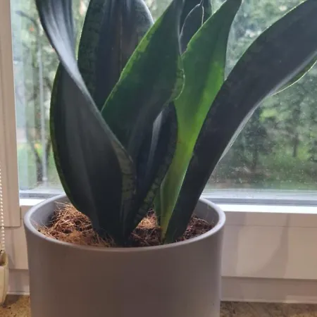 Goclaw Getaway Near National Stadium Varsovia